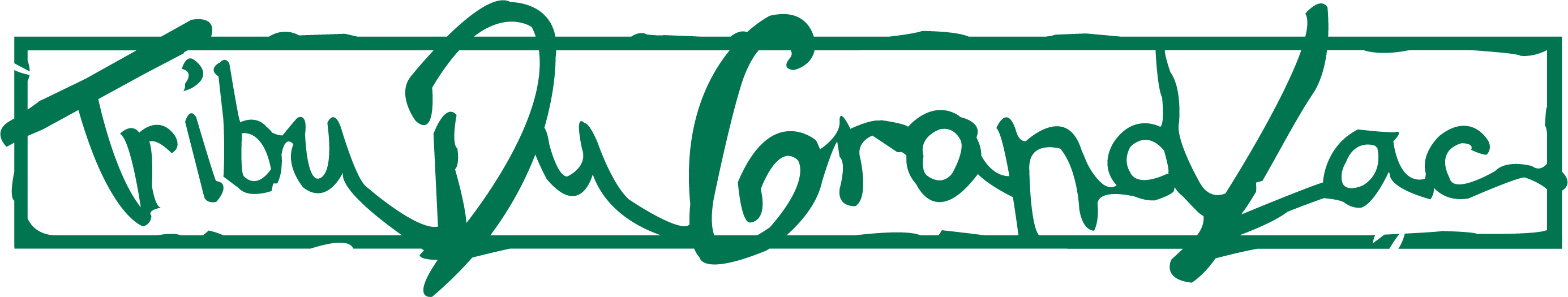 logo-tdgl-vert